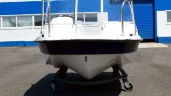 Wyatboat-430 DC (тримаран)