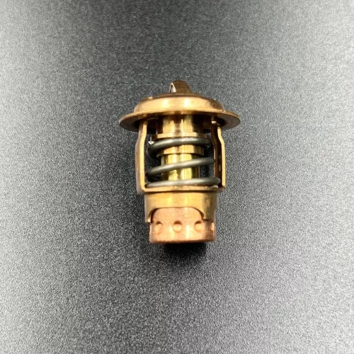 Термостат Mercury 6-125 (50 °C) (Quicksilver)