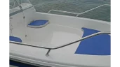 Wyatboat-430 DCM (тримаран)