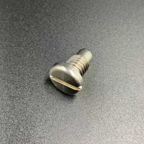 Пробка редуктора Yamaha 25-250, F20-115 (магнитная) (Kacawa)