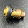 Термостат Yamaha 60-70 (50 °C) (Premarine)