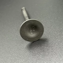 Выпускной клапан Yamaha F2-9.9 (PREMARINE)