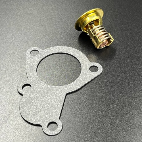 Термостат Mercury 30-60 (43 °C) (JSP)