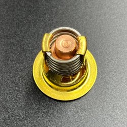 Термостат Mercury 30-60 (43 °C) (JSP)