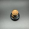 Термостат Yamaha F4-60, F80-100, Mercury 8-15 (60 °C) (Quicksilver)