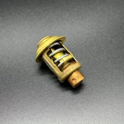 Термостат Mercury 30-40 (54 °C) (Quicksilver)