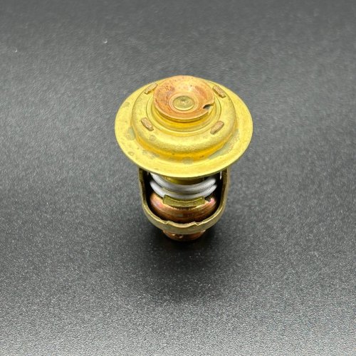Термостат Mercury 30-40 (54 °C) (Quicksilver)