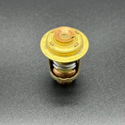 Термостат Mercury 30-40 (54 °C) (Quicksilver)