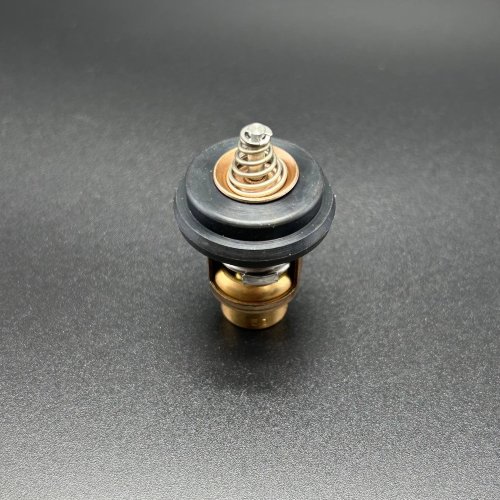 Термостат THERMOSTAT (Quicksilver)