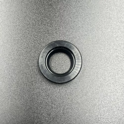Сальник Mercury (17х29х6) (Kacawa)