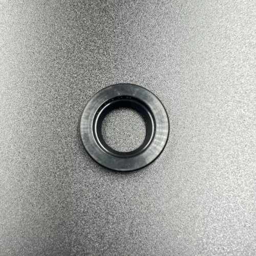 Сальник Mercury (17х29х6) (Kacawa)