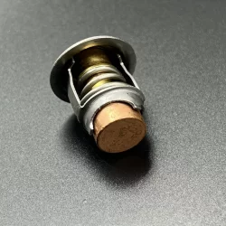 Термостат Mercury 40-60 (50 °C) (Omax)