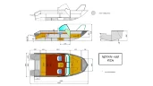 Неман-480 DCM FISH