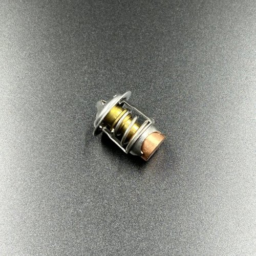 Термостат Mercury 40-60 (50 °C) (Sinera)