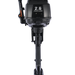 Лодочный мотор PARSUN F2.6 BMS