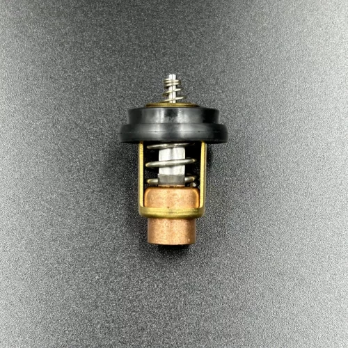 Термостат Mercury F4-F6/Tohatsu MFS4-6 (Sinera)