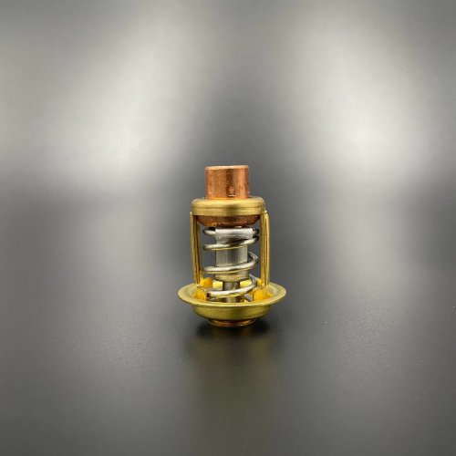 Термостат Mercury 30-40 (54 °C) (Premarine)