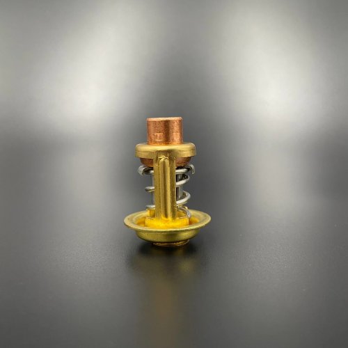 Термостат Mercury 30-40 (54 °C) (Premarine)