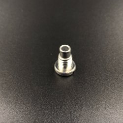 Пробка редуктора Yamaha 25-250, F20-115 (магнитная) (RT)