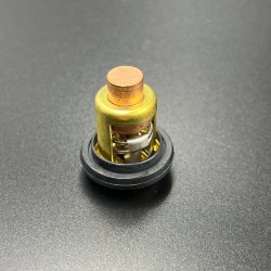 Термостат Yamaha 3-250 60С* (PREMARINE)
