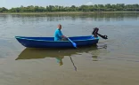 Голавль