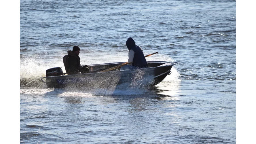 Wyatboat-390 P