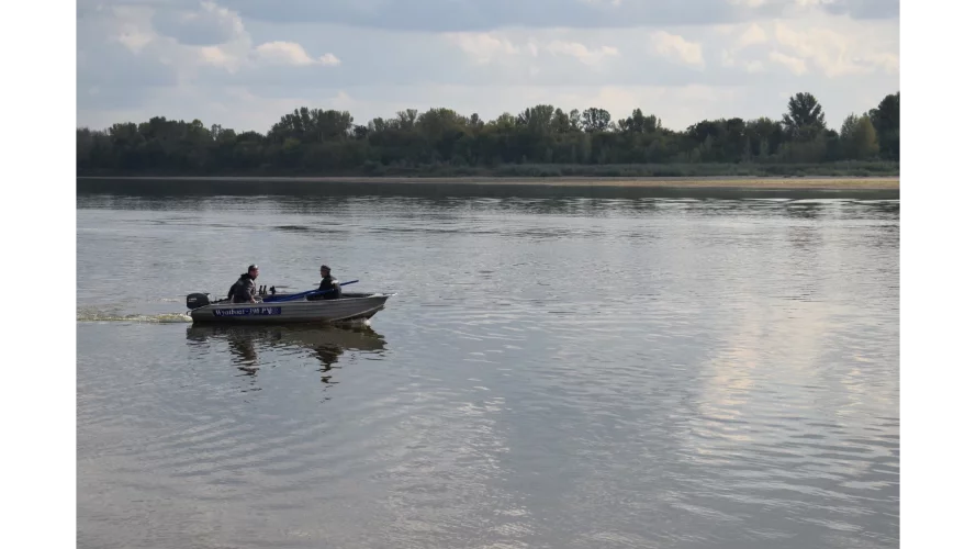 Wyatboat-390 P