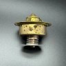 Термостат THERMOSTAT KIT (Quicksilver)