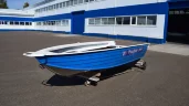 Wyatboat-390Р Fish